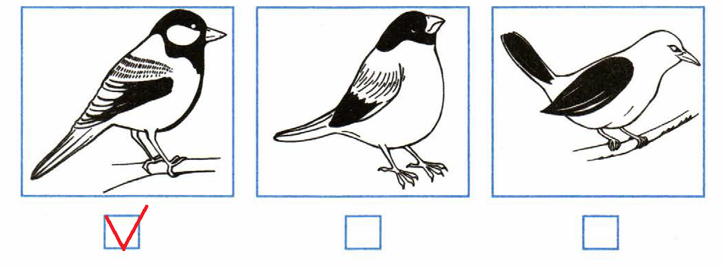 Отметь рисунки. Разные формы слова синица. Отметь рисунок на котором изображается синица. Отметь рисунок на котором изображена синичка. Образовать разные формы слова синица.