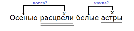 Пахнуть предложение. Осенью расцвели белые астры разобрать предложение по членам. Осенью расцвели белые астры разбор предложения. Осенью расцвели белые астры разобрать. Осенью расцвели белые астры разобрать предложение по частям.