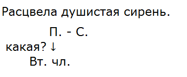 схема к упр. 47
