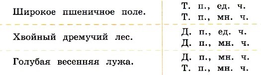 Определить падеж в еловом лесу. Дремучий лес по падежам просклонять. Широкое пшеничное поле падеж. Хвойный дремучий лес просклонять по падежам. Просклонять по падежам широкое пшеничное поле.