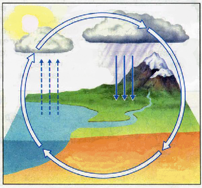 Нарисуй схему круговорота воды в  природе