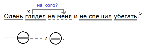 Русский язык 250 ладыженская