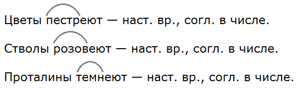 Ладыженская 5.2, упр. 650 -3, с. 113