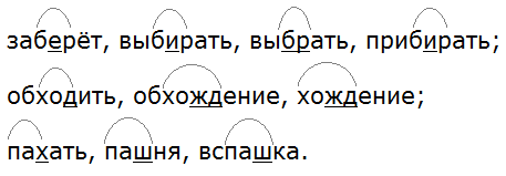 Ладыженская 6.1, упр. 204 - 3, с. 100