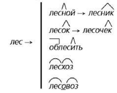 Ладыженская 6.1, упр. 220 -1, с. 108