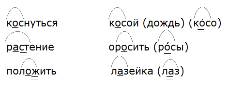Ладыженская 6.1, упр. 231 -1, с. 116