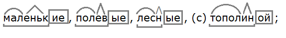 Ладыженская 6.1, упр. 39 - 2, с. 20