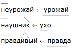 Русский язык 6 273