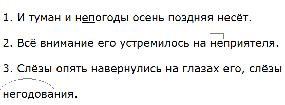 Русский язык 6 класс ладыженская упр 501