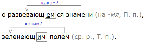 7 класс русский упр 82. Русский ладыженская 7 класс упр 82.