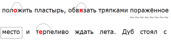 Баранов 7.1 упр. 90 -5, с. 48 
